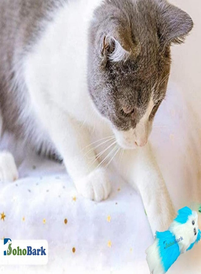 BohoBark Cat MiceToy Stuffed 2PCS Novelty Biteproof Pet Catnip Toy Kitten Interactive Toy Chewing Biting Hunting Chasing Activity Exercise Small for Cat Toy (2pcs Set) Sky Blue - Image 5
